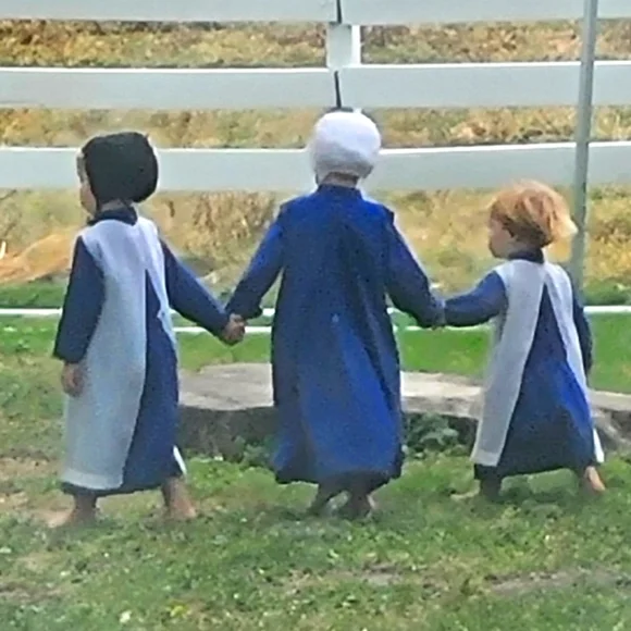 1 Home-made Amish Goat's Milk Soap Bar "Rose" Borntregers Bundle 3 For $15 - Picture 4 of 5